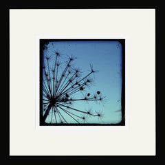 Stalks in Blue Framed