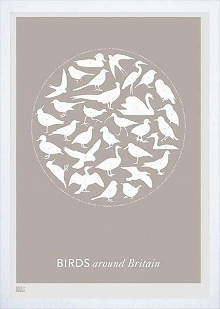 Nature - Birds Around Britain in Stone Frame White