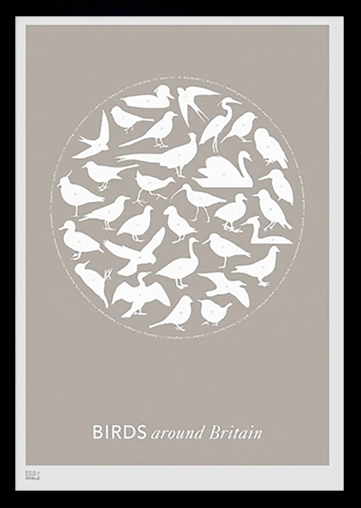 Animals - Birds Around Britain (Stone) Black frame