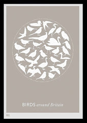 Animals - Birds Around Britain (Stone) Black frame