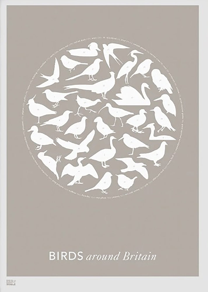 Animals - Birds Around Britain (Stone) Unframed