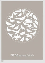 Animals - Birds Around Britain (Stone) Unframed