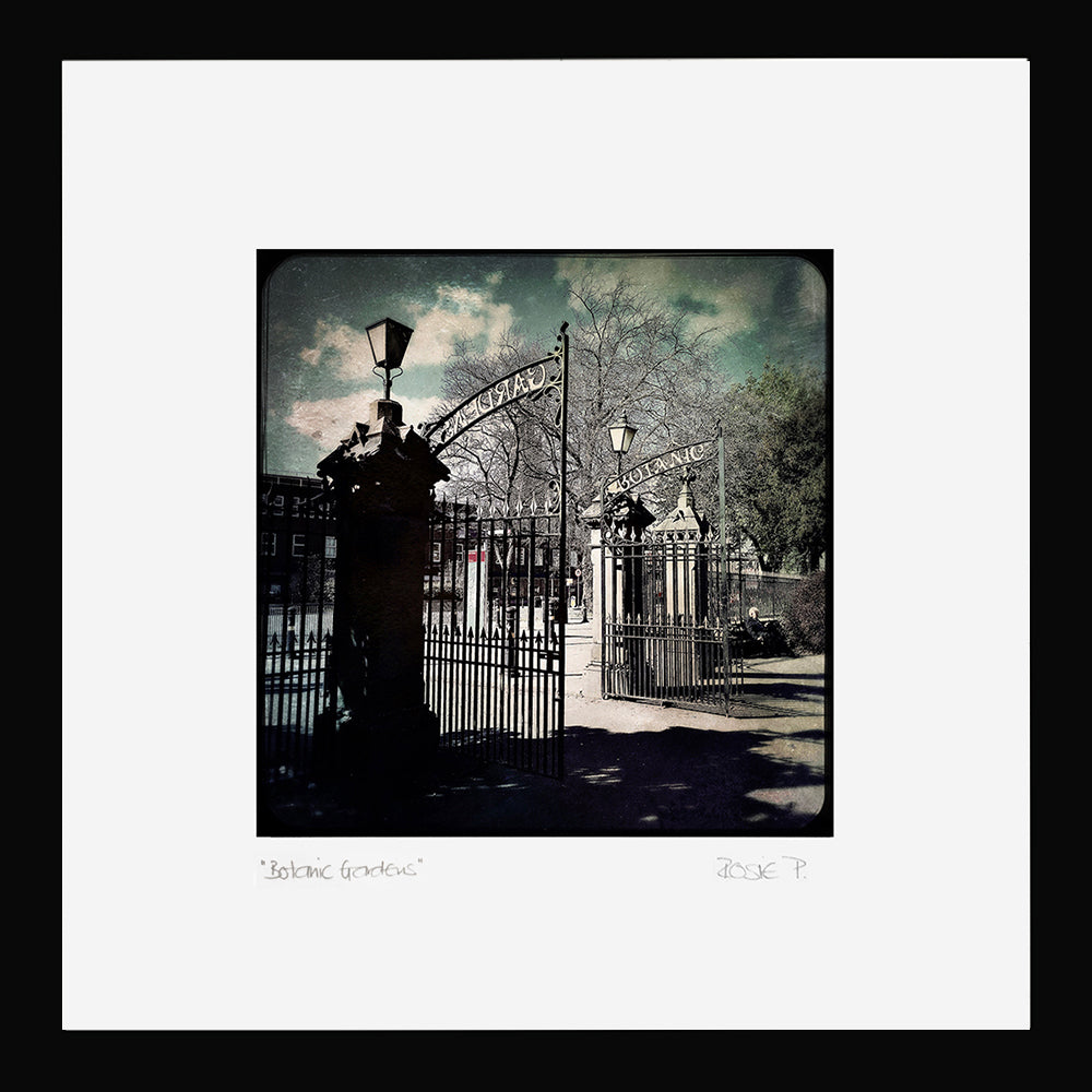 Belfast - Botanic Gardens Black Frame (No Mount)