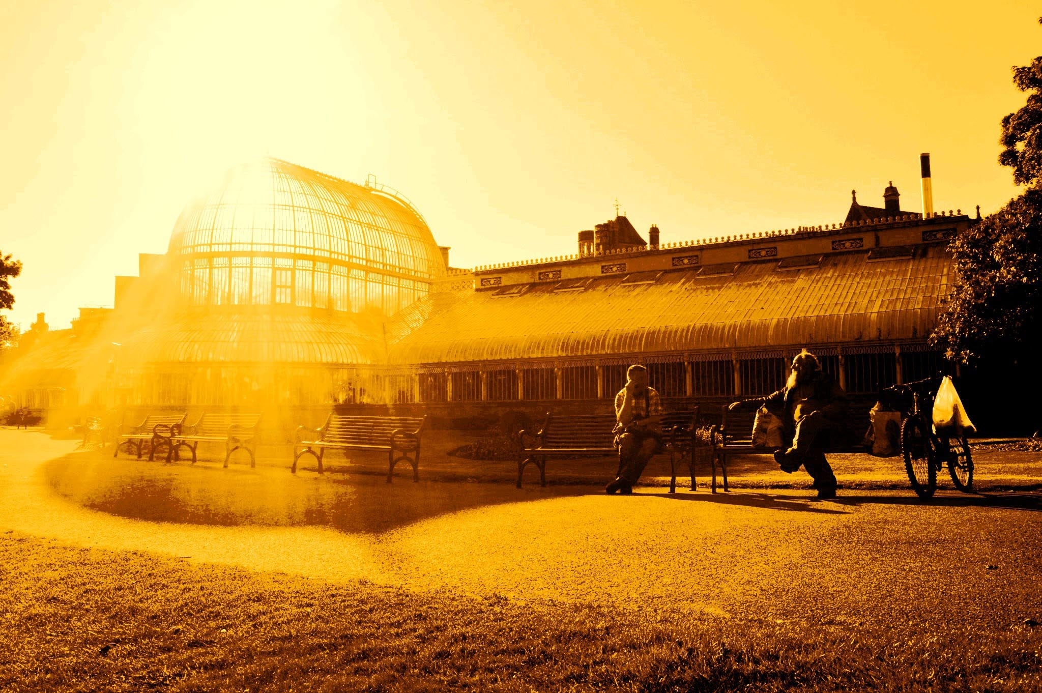 Botanic Gardens Three Unframed