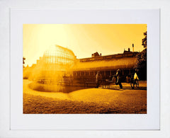 Botanic Gardens Three White Frame