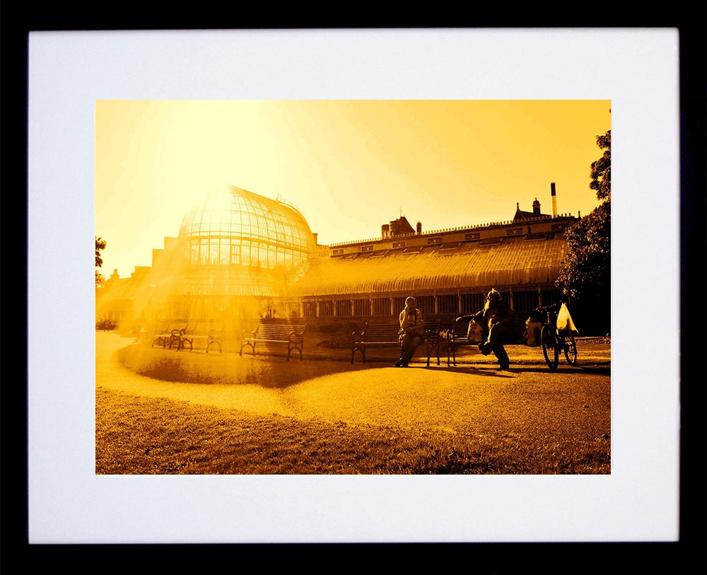 Botanic Gardens Three Black Frame