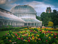 Belfast - Palm House Botanic Gardens Unframed