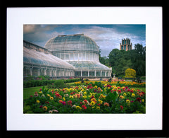Belfast - Palm House Botanic Gardens Frame Black