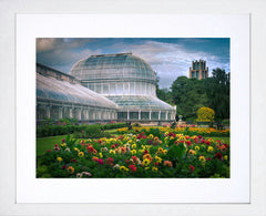 Belfast - Palm House Botanic Gardens Frame White