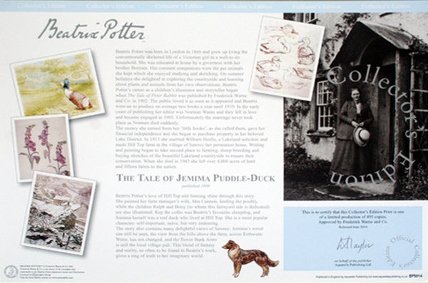 Jemima Wearing A Poke Bonnet