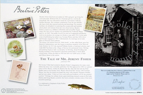 Jeremy Fisher Dropped In The Bait