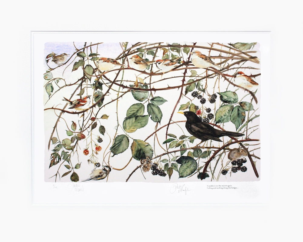 The Lost Words - Bramble - Unframed