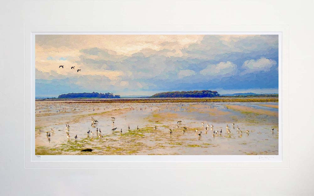 Co Down - Brent Geese Greyabbey Unframed 71x45