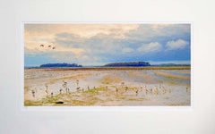 Co Down - Brent Geese Greyabbey Unframed 71x45