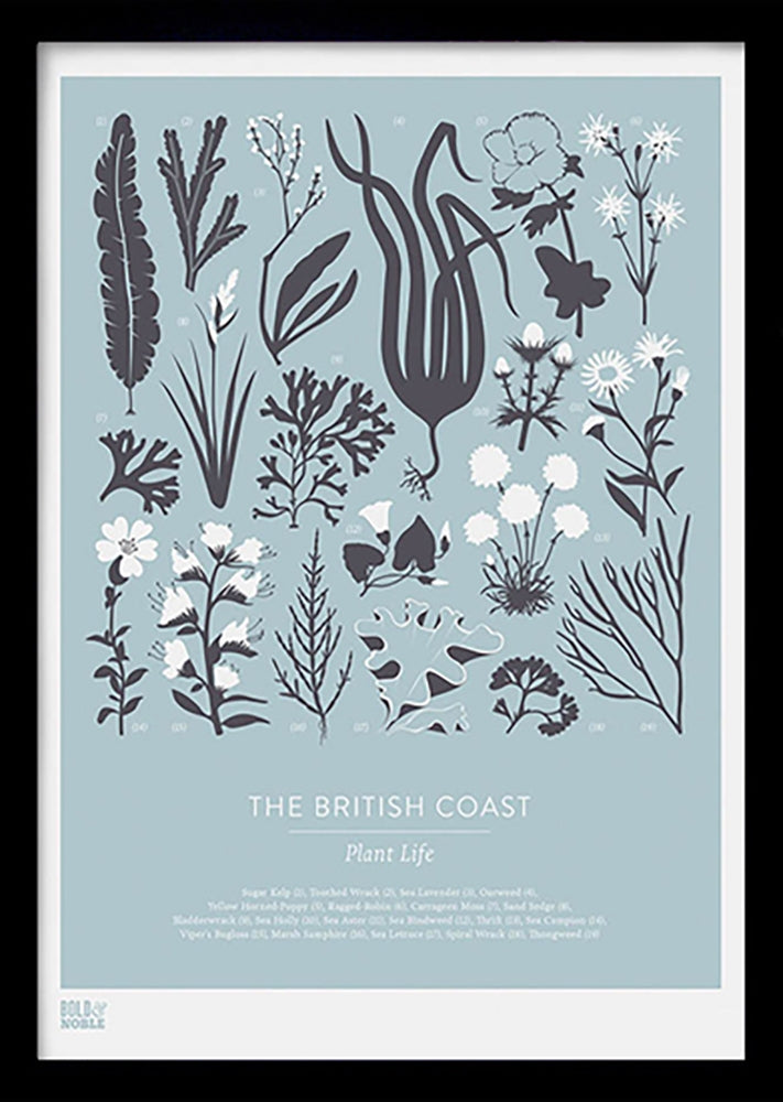 Nature - British Coast Plants in Blue Black frame