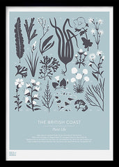 Nature - British Coast Plants in Blue Black frame