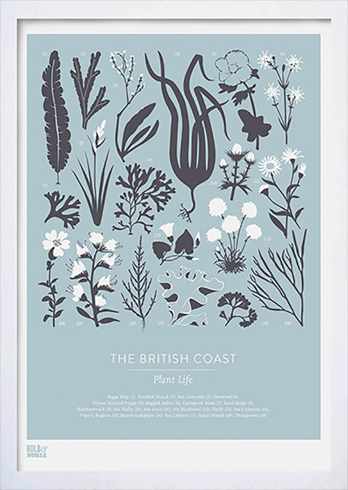 Nature - British Coast Plants in Blue Frame White