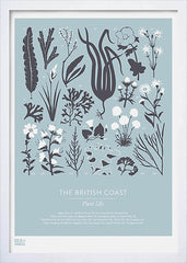Nature - British Coast Plants in Blue Frame White