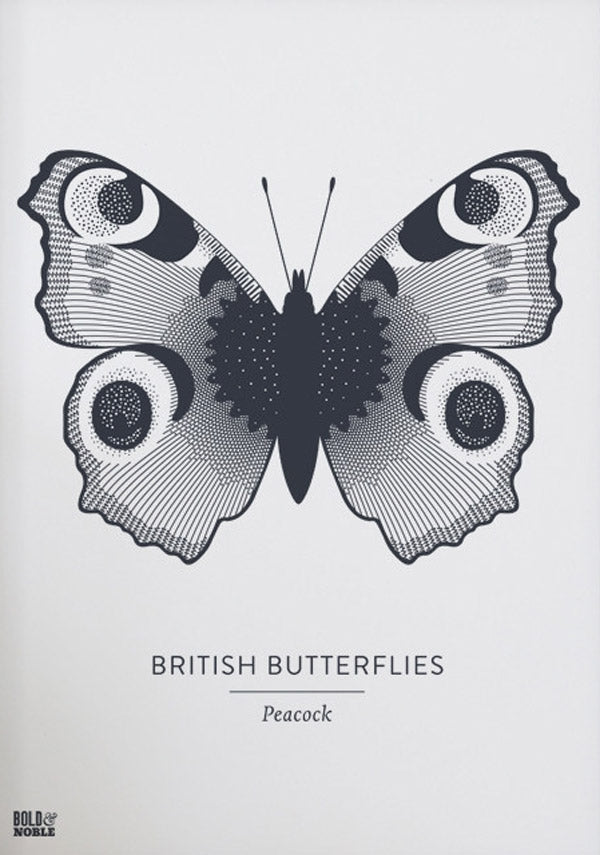 Animals - British Butterflies Peacock in Slate Unframed