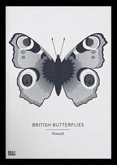 Animals - British Butterflies Peacock in Slate Black Frame