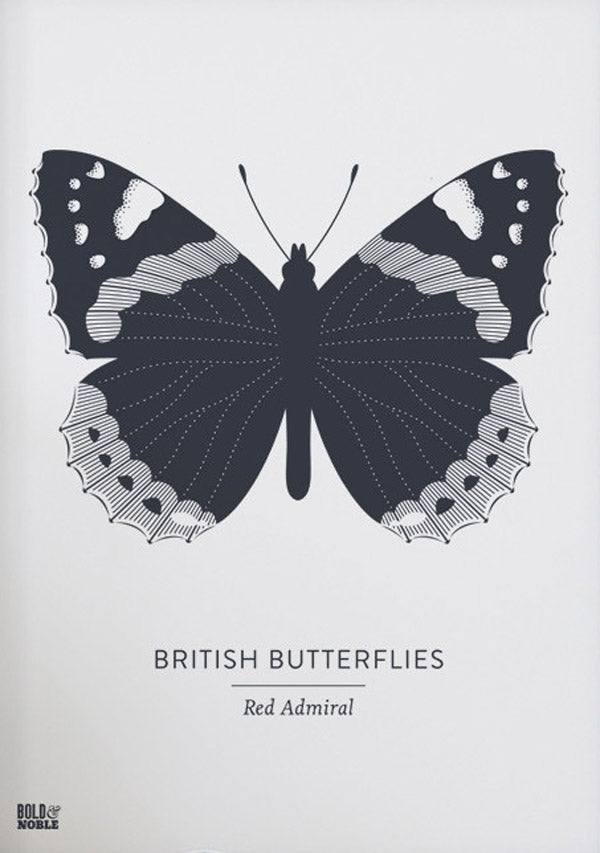 Animals - British Butterflies Red Admiral in Slate Unframed