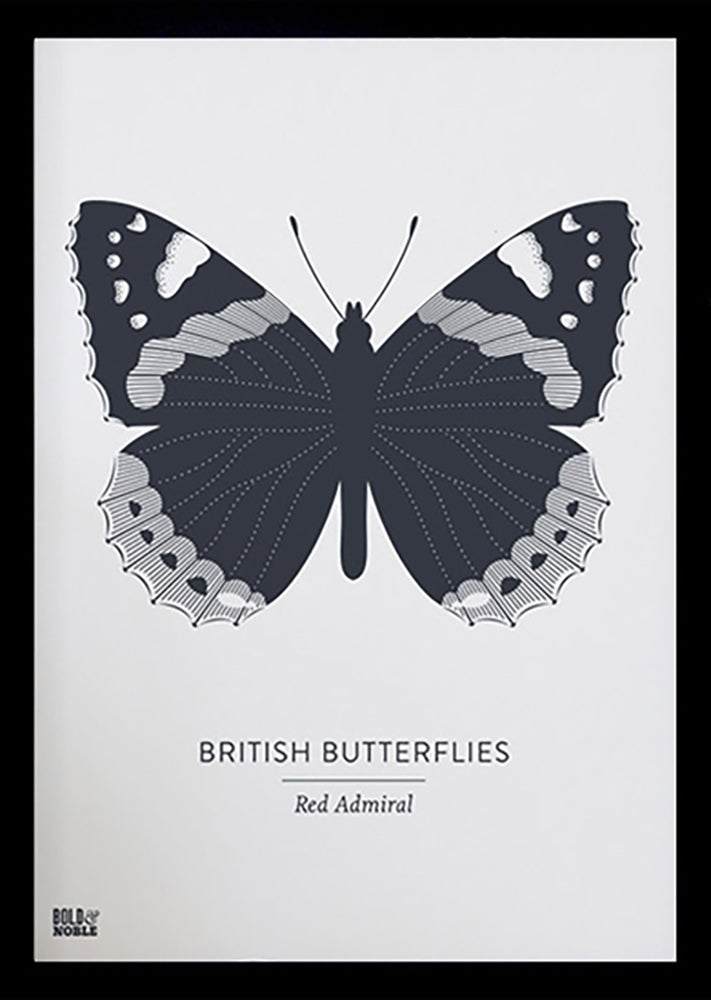 Animals - British Butterflies Red Admiral in Slate Black frame