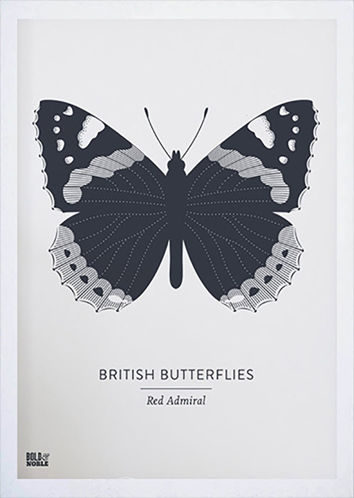 Nature - British Butterflies Red Admiral in Slate Frame White