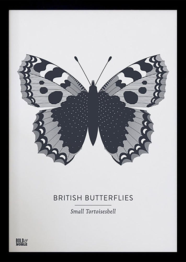 Animals - British Butterflies Small Tortoiseshell in Slate Black frame