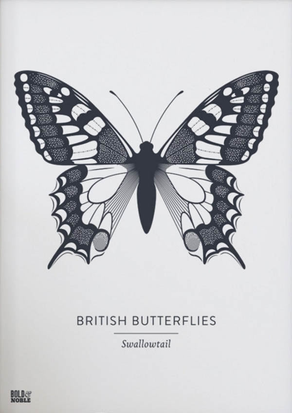 Animals - British Butterflies Swallowtail in Slate Unframed