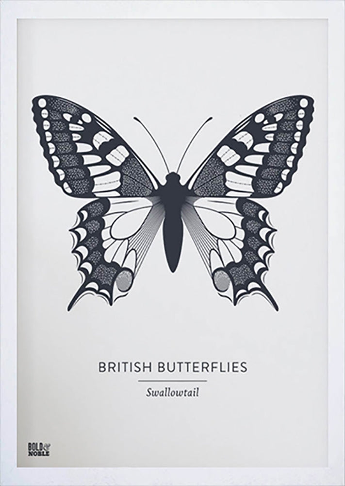 Nature - British Butterflies Swallowtail in Slate Frame White