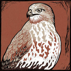 Lino Print - Buzzard