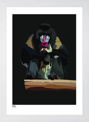 Ape Series - Calm White Frame