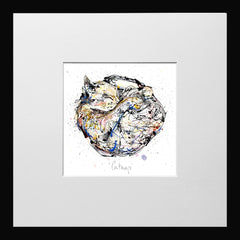 Print Open Edition Animals - Catnap-12 x 12-Small Flat Black Frame