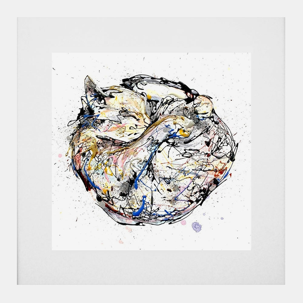 Print Open Edition Animals - Catnap-30 x 30-White Box Frame (With Mount)