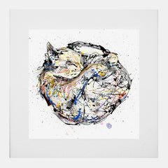 Print Open Edition Animals - Catnap-30 x 30-White Box Frame (With Mount)