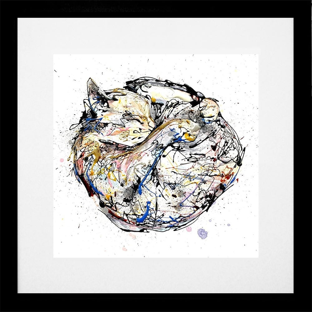 Print Open Edition Animals - Catnap-30 x 30-White Box Frame (No Mount)