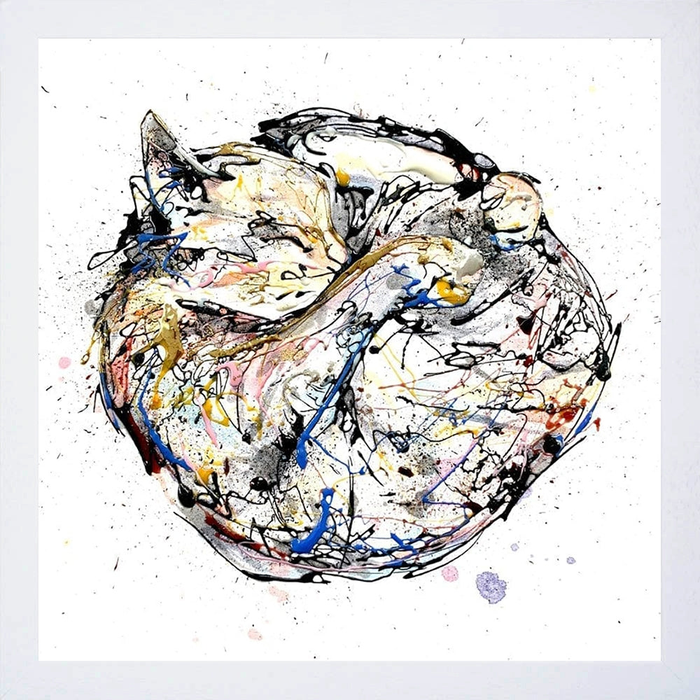 Print Open Edition Animals - Catnap-30 x 30-Black Box Frame (With Mount)