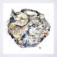 Print Open Edition Animals - Catnap-30 x 30-Black Box Frame (With Mount)