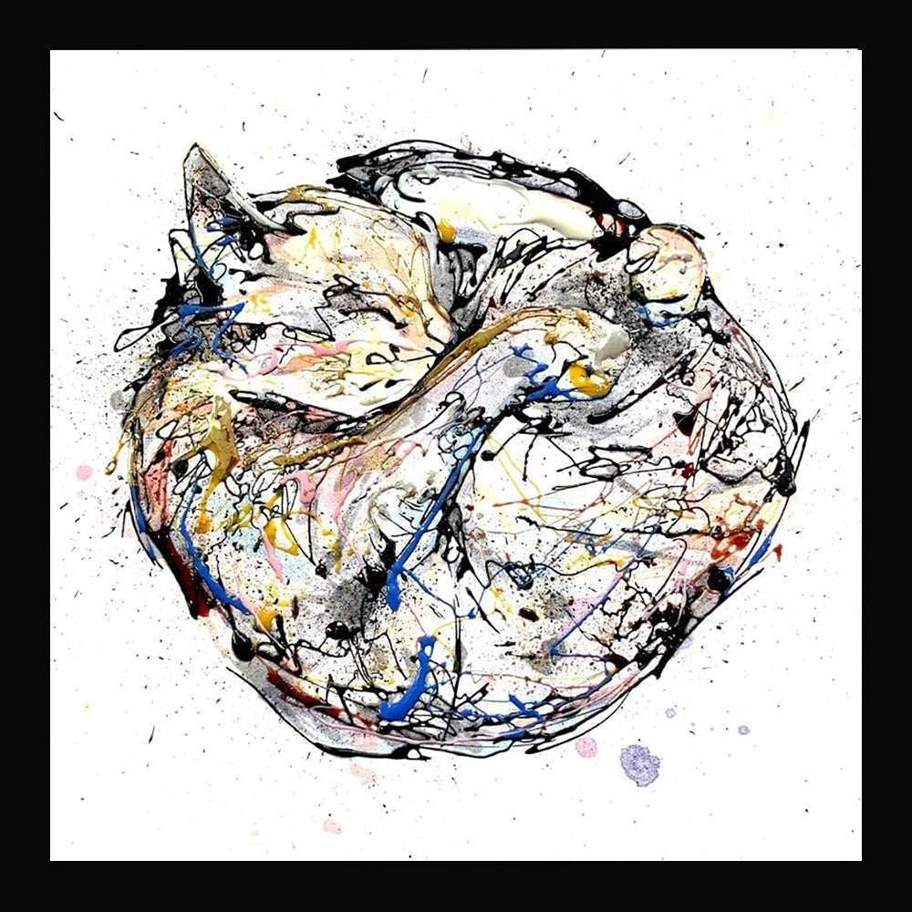 Print Open Edition Animals - Catnap-30 x 30-Black Box Frame (No Mount)