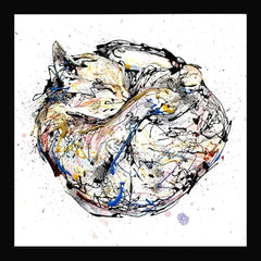 Print Open Edition Animals - Catnap-30 x 30-Black Box Frame (No Mount)