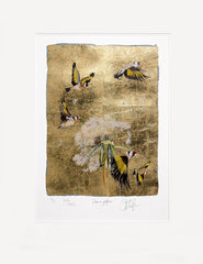 The Lost Words - Charm On, Goldfinch Premium Edition Unframed