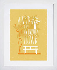 A Weed White Frame
