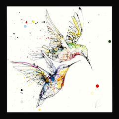 Print Open Edition Animals - Circling-30 x 30-Black Box Frame (No Mount)