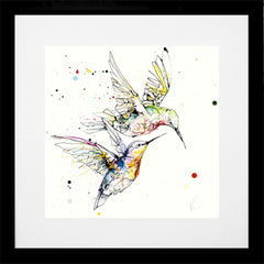 Print Open Edition Animals - Circling-30 x 30-Black Box Frame (With Mount)