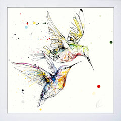 Print Open Edition Animals - Circling-30 x 30-White Box Frame (No Mount)