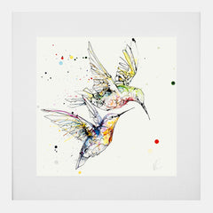 Print Open Edition Animals - Circling-30 x 30-White Box Frame (With Mount)