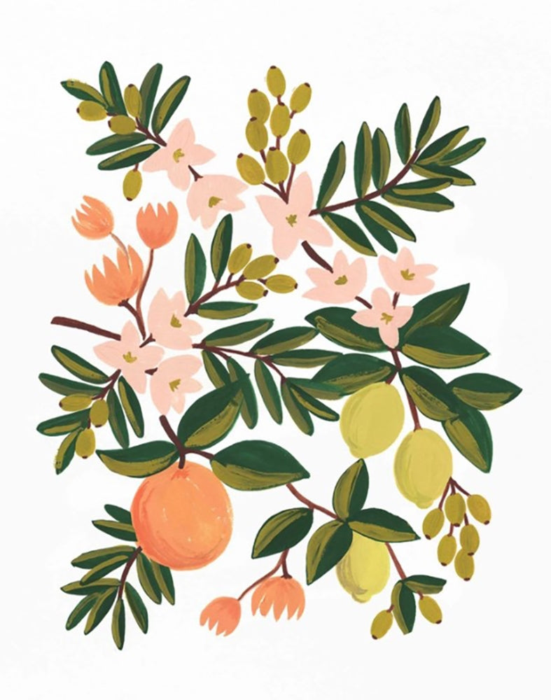 Citrus Floral