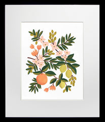 Citrus Floral Black Frame
