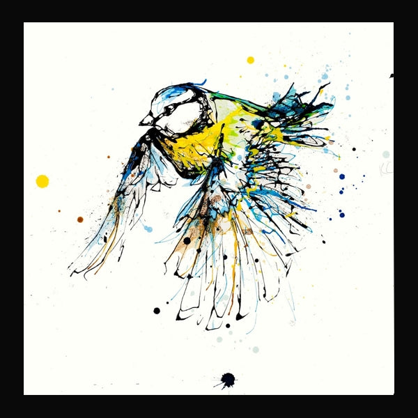 Print Open Edition Animals - Coat of Colour-30 x 30-Black Box Frame (No Mount)