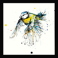Print Open Edition Animals - Coat of Colour-30 x 30-Black Box Frame (No Mount)